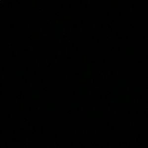 Meet your Posher, Ja’mila